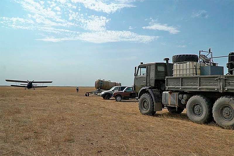Более 65 тысяч га земель заселены саранчой в Дагестане